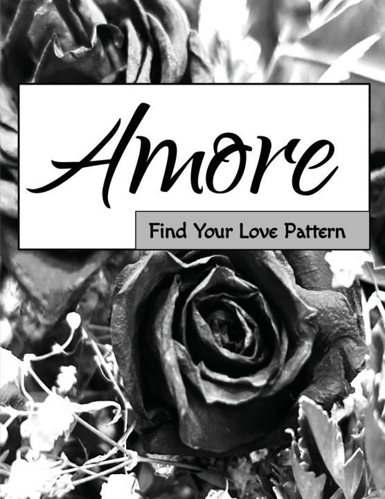 Knjiga Amore Ashlee DiSalvo