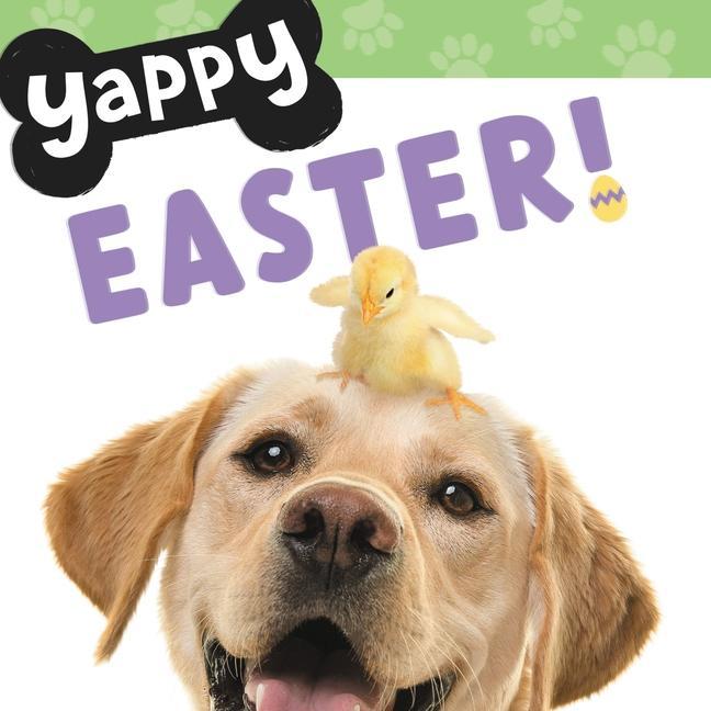 Knjiga Yappy Easter! 
