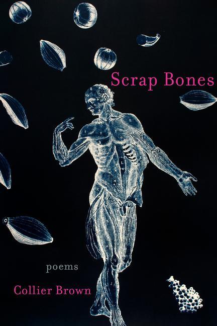 Knjiga Scrap Bones: Poems Collier Brown