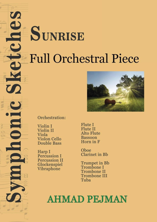 Buch Sunrise Ahmad Pejman