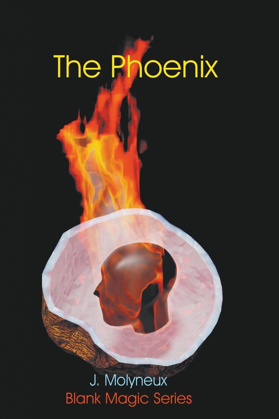 Knjiga The Phoenix J Molyneux