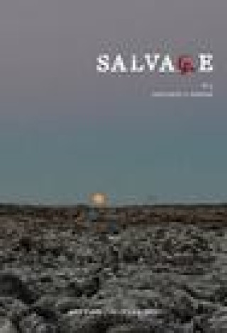 Knjiga Salvage #13 Salvage