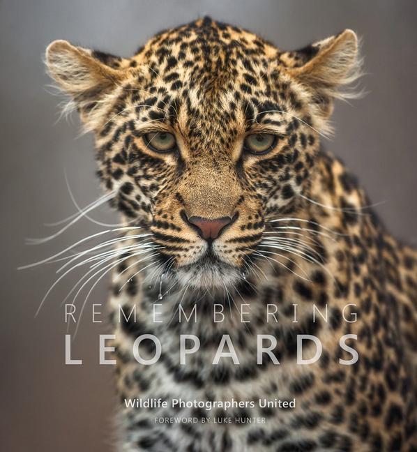 Książka Remembering Leopards Wildlife Photographers United