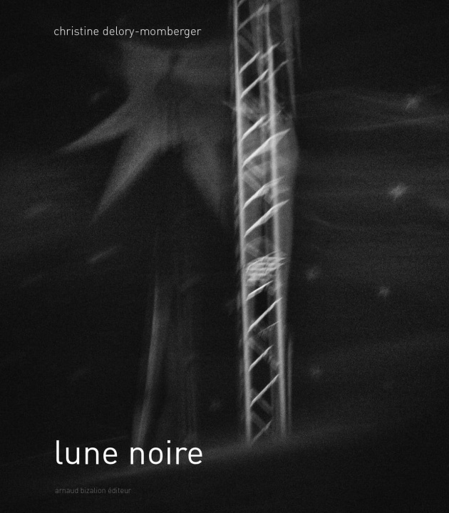 Книга Lune noire Delory-Momberger