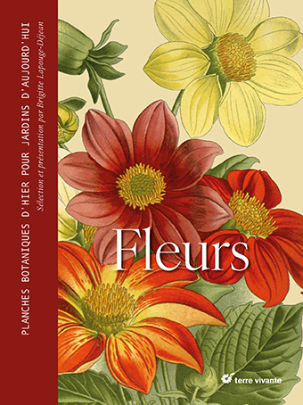 Kniha Fleurs Lapouge-Déjean