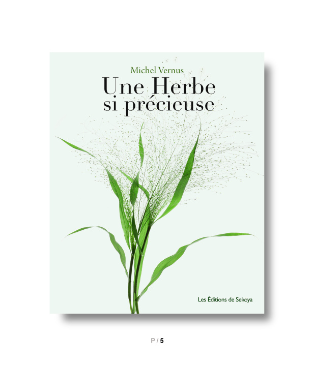 Boek Une herbe si précieuse Vernus