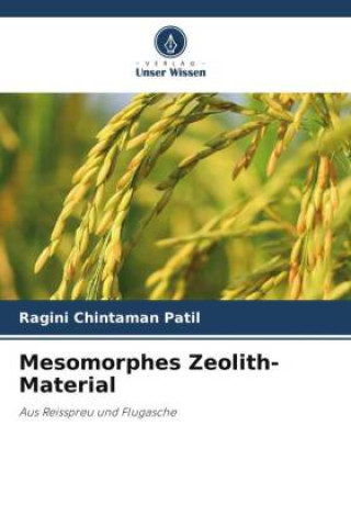 Knjiga Mesomorphes Zeolith-Material Ragini Chintaman Patil