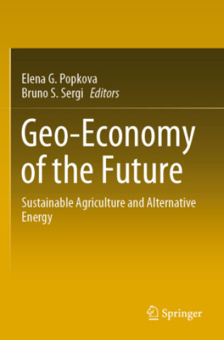 Könyv Geo-Economy of the Future, 2 Teile Elena G. Popkova