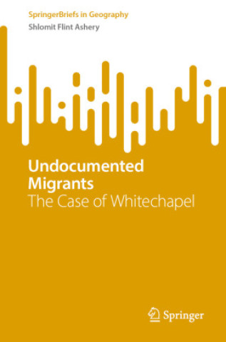 Kniha Undocumented Migrants Shlomit Flint Ashery