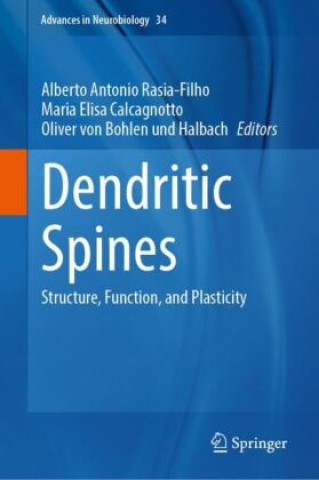 Knjiga Dendritic Spines Alberto Antonio Rasia-Filho