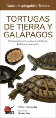 Kniha TORTUGAS DE TIERRA Y GALAPAGOS 