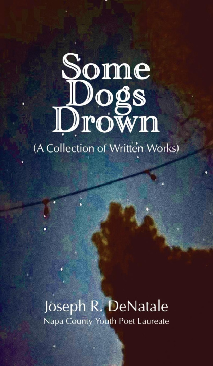 Buch Some Dogs Drown Joseph R DeNatale