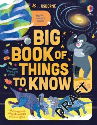 Kniha Big Book of Things to Know James Maclaine