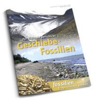 Kniha Geschiebe-Fossilien Redaktion Fossilien