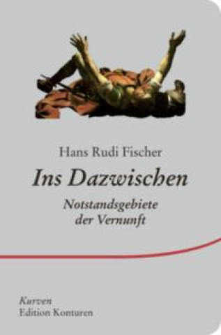 Boek Ins Dazwischen Hans Rudi Fischer