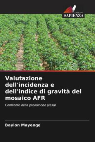 Knjiga Valutazione dell'incidenza e dell'indice di gravit? del mosaico AFR 