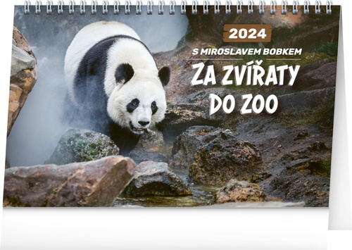 Kalendár/Diár Za zvířaty do zoo 2024 - stolní kalendář 