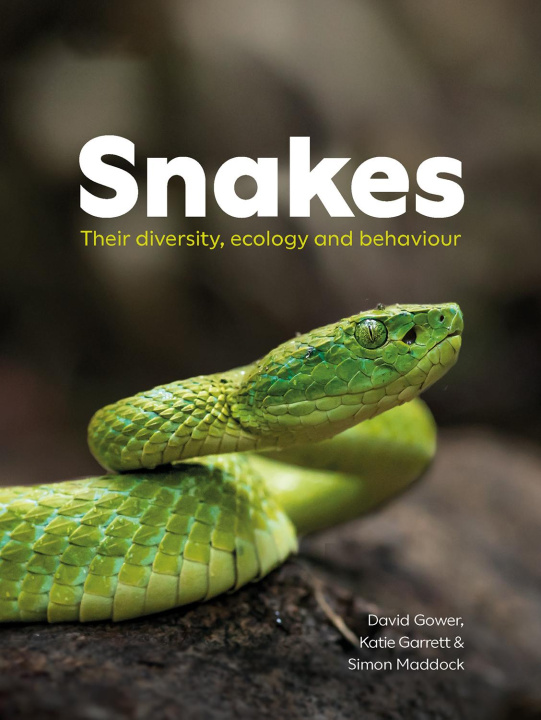 Kniha Snakes David Gower