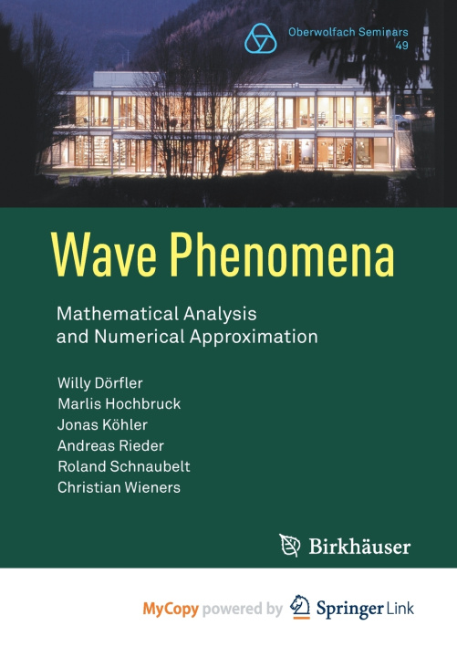 Knjiga Wave Phenomena Dorfler Willy Dorfler