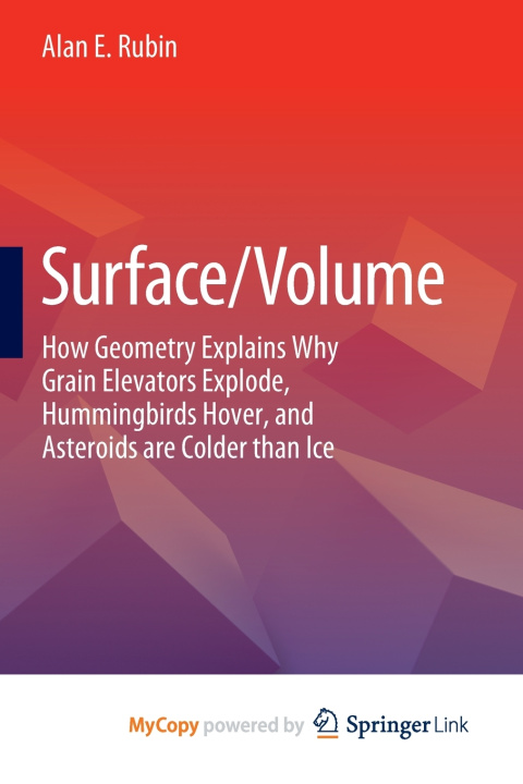 Knjiga Surface/Volume Rubin Alan E. Rubin