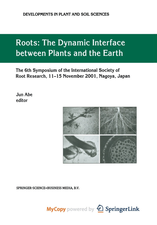 Book Roots Jun J. Abe