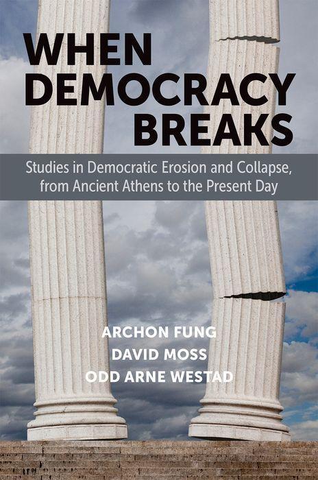 Buch When Democracy Breaks David Moss