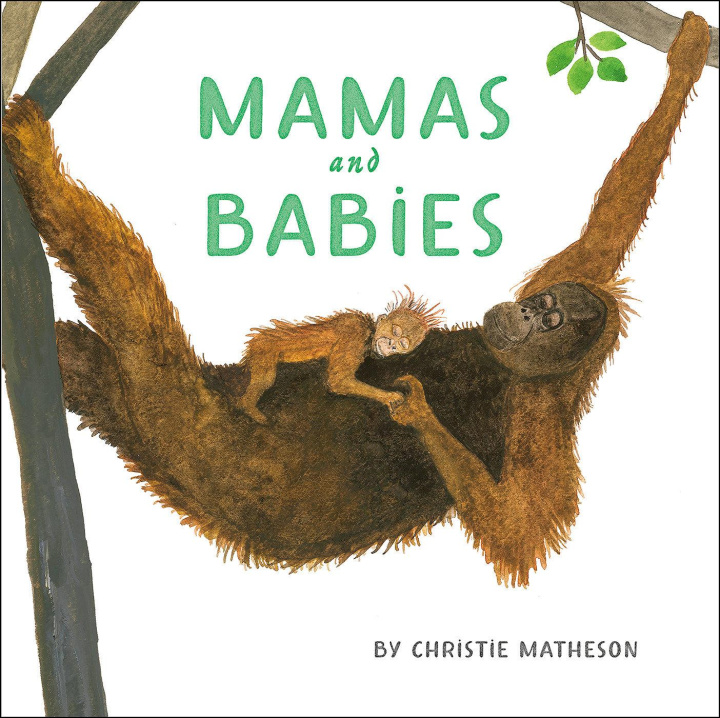 Kniha Mamas and Babies Christie Matheson