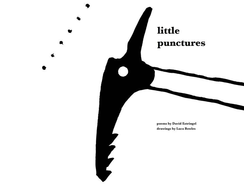 Knjiga Little Punctures David Estringel