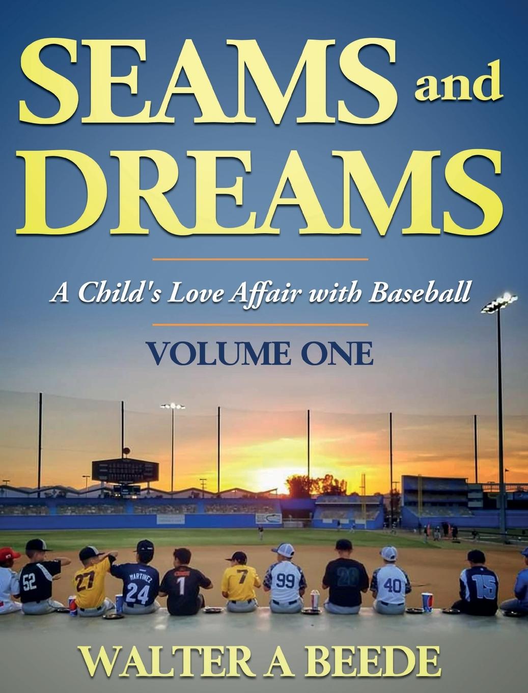 Kniha Seams and Dreams 