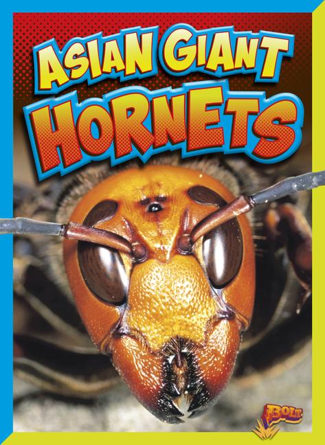Carte Asian Giant Hornets 