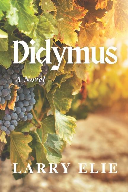 Boek Didymus Larry Elie