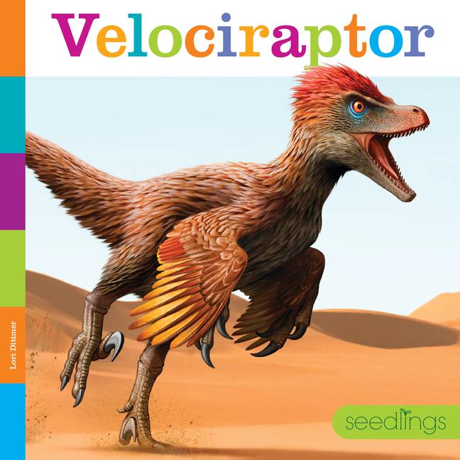 Libro Velociraptor 