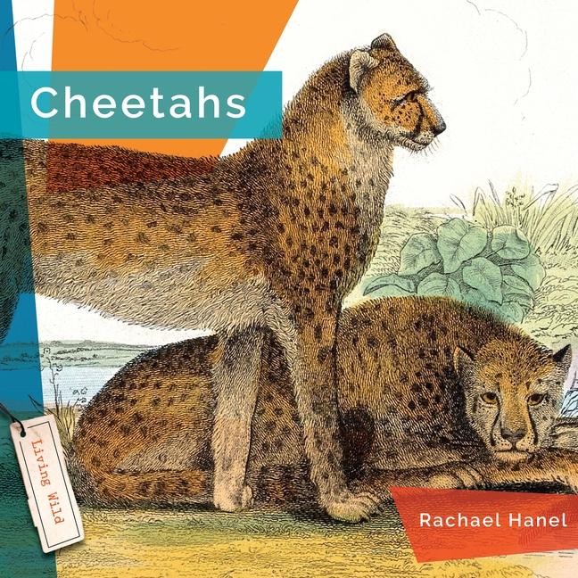 Knjiga Cheetahs 