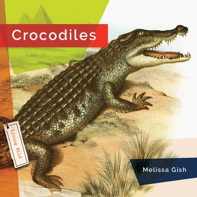Carte Crocodiles 