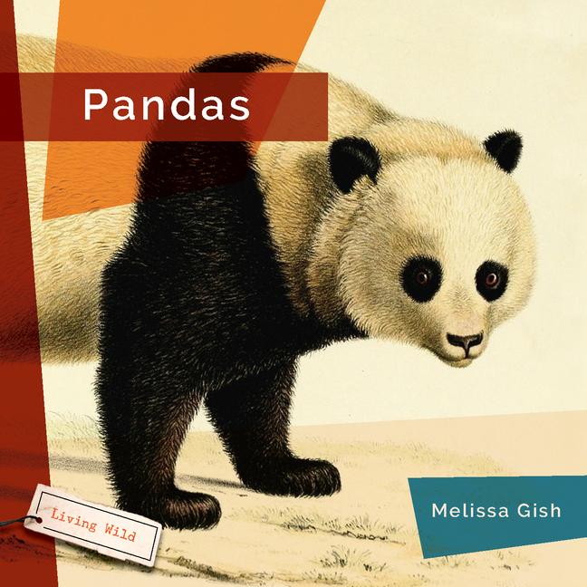 Knjiga Pandas 