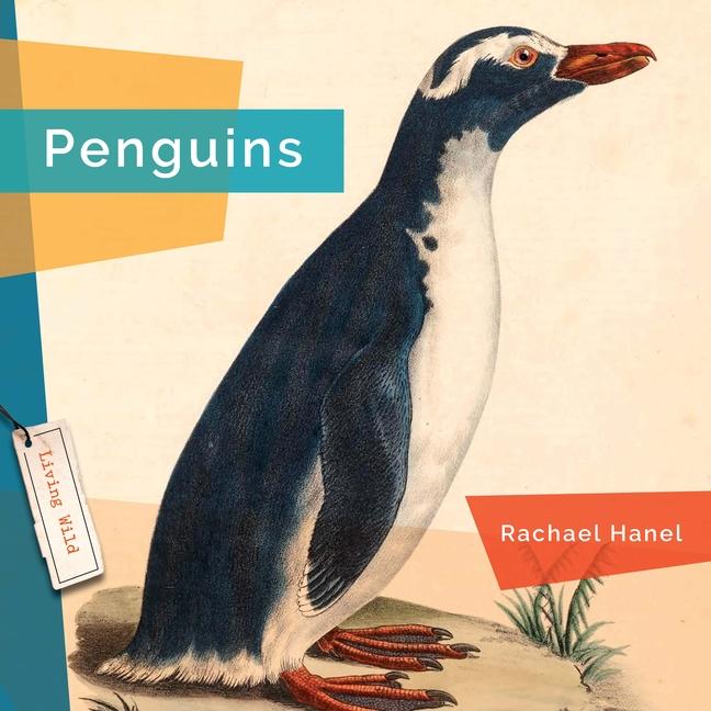 Książka Penguins 