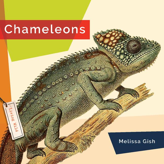 Libro Chameleons 