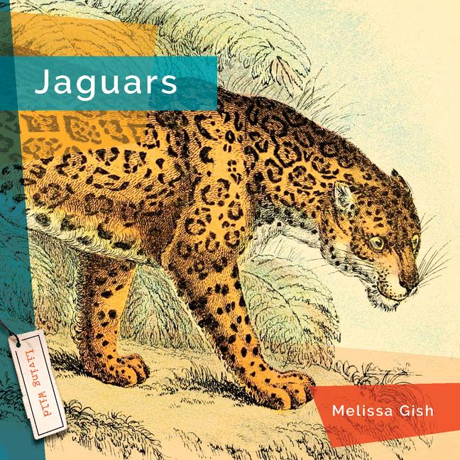 Buch Jaguars 