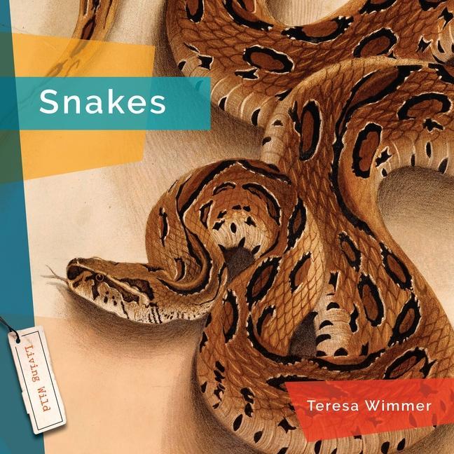 Kniha Snakes 