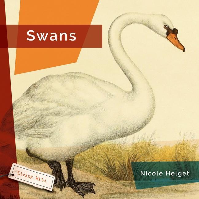 Knjiga Swans 