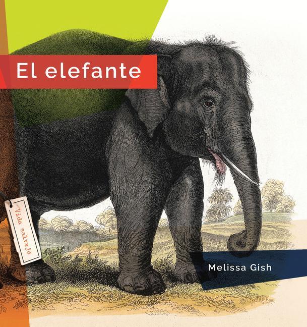 Könyv El Elefante 