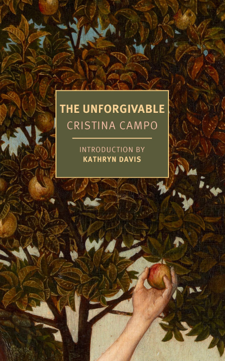 Knjiga The Unforgivable Alex Andriesse