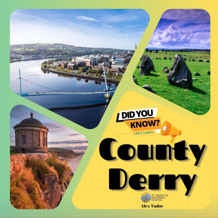 Knjiga County Derry Alex Tudor