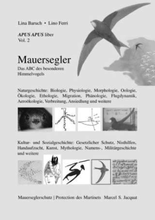 Knjiga APUS APUS liber, vol. 2. Mauersegler . Lina Baruch _ Lino Ferri