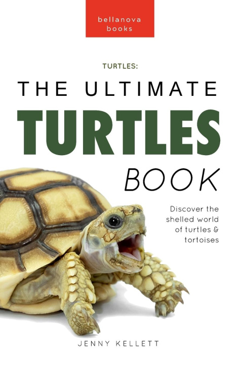 Könyv Turtles The Ultimate Turtles Book 