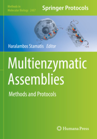 Könyv Multienzymatic Assemblies Haralambos Stamatis