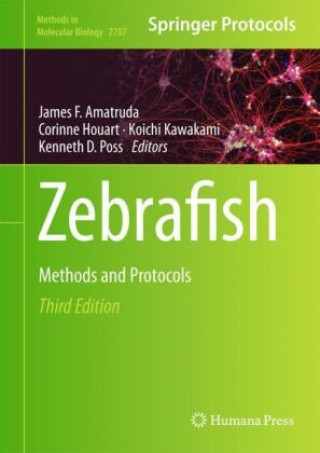 Kniha Zebrafish James F. Amatruda