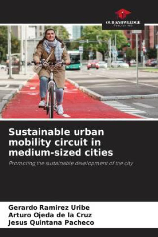 Könyv Sustainable urban mobility circuit in medium-sized cities Arturo Ojeda de la Cruz