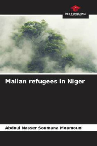 Carte Malian refugees in Niger Abdoul Nasser Soumana Moumouni