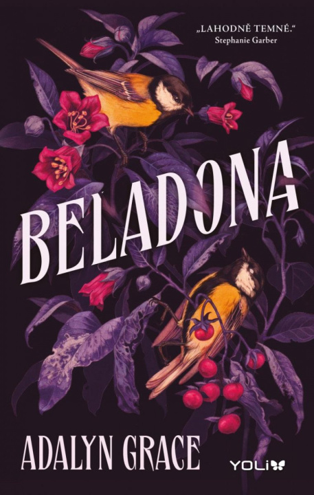 Kniha Beladona Adalyn Grace